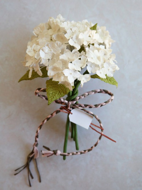 Tulipa Floriade - Red